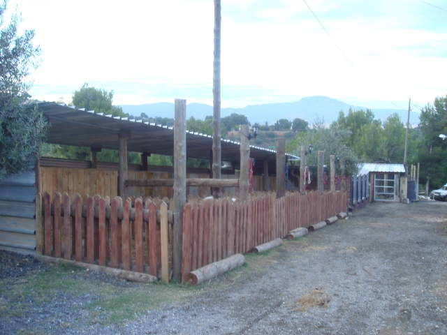  Pony Center 